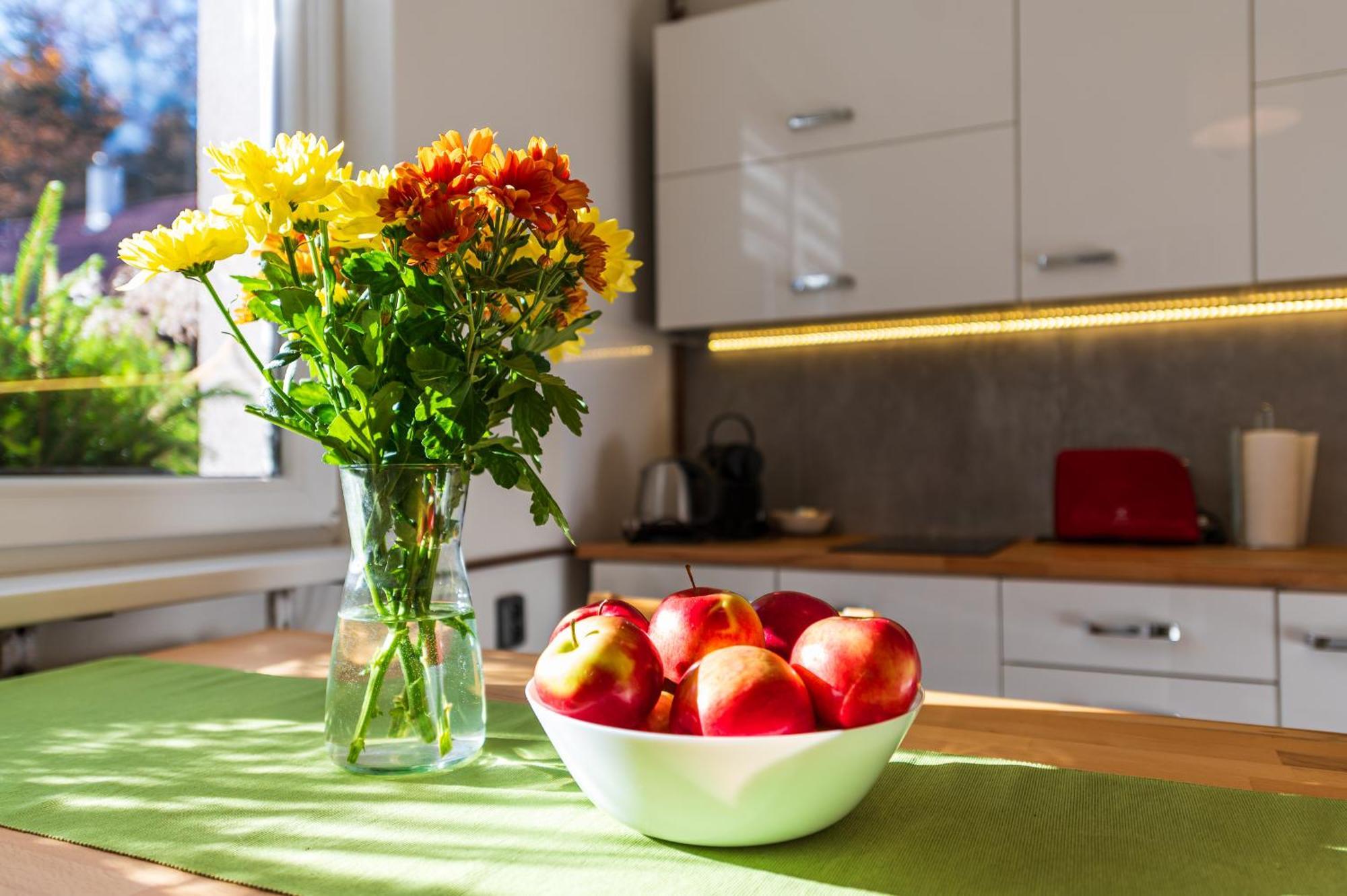 Ubytovani Na Samote - Apartman U Tesaru Komarice Exterior photo